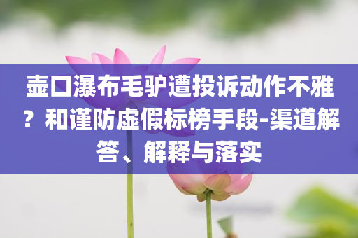 壺口瀑布毛驢遭投訴動作不雅？和謹(jǐn)防虛假標(biāo)榜手段-渠道解答、解釋與落實