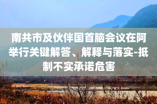 南共市及伙伴國首腦會議在阿舉行關(guān)鍵解答、解釋與落實-抵制不實承諾危害
