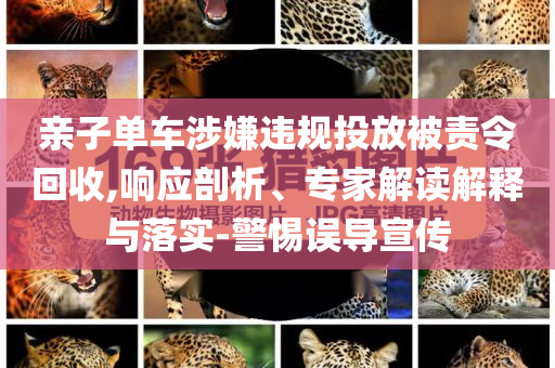 親子單車涉嫌違規(guī)投放被責(zé)令回收,響應(yīng)剖析、專家解讀解釋與落實-警惕誤導(dǎo)宣傳
