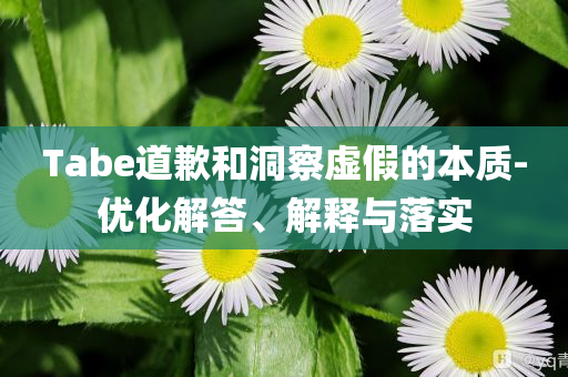 Tabe道歉和洞察虛假的本質(zhì)-優(yōu)化解答、解釋與落實(shí)