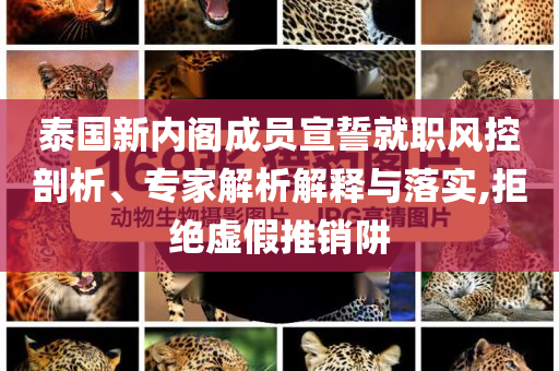 泰國(guó)新內(nèi)閣成員宣誓就職風(fēng)控剖析、專家解析解釋與落實(shí),拒絕虛假推銷阱