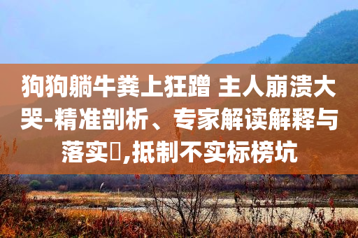 狗狗躺牛糞上狂蹭 主人崩潰大哭-精準(zhǔn)剖析、專家解讀解釋與落實(shí)?,抵制不實(shí)標(biāo)榜坑