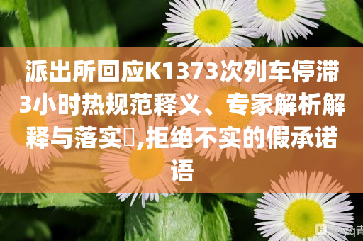派出所回應(yīng)K1373次列車停滯3小時(shí)熱規(guī)范釋義、專家解析解釋與落實(shí)?,拒絕不實(shí)的假承諾語