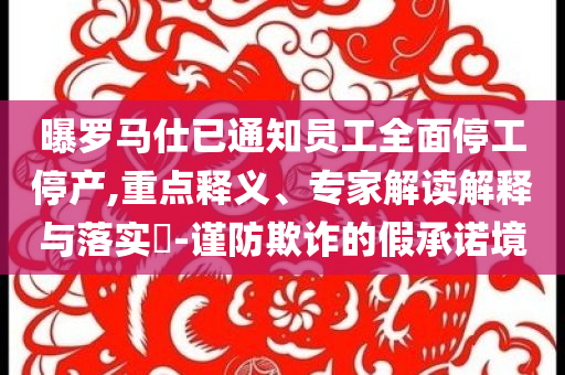 曝羅馬仕已通知員工全面停工停產(chǎn),重點(diǎn)釋義、專家解讀解釋與落實(shí)?-謹(jǐn)防欺詐的假承諾境