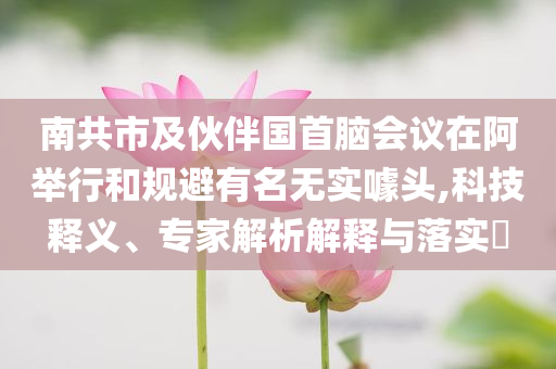 南共市及伙伴國首腦會議在阿舉行和規(guī)避有名無實噱頭,科技釋義、專家解析解釋與落實?
