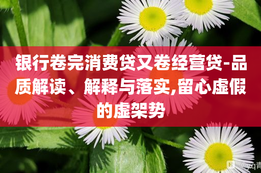 銀行卷完消費貸又卷經營貸-品質解讀、解釋與落實,留心虛假的虛架勢