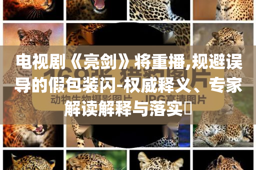 電視劇《亮劍》將重播,規(guī)避誤導(dǎo)的假包裝閃-權(quán)威釋義、專家解讀解釋與落實?