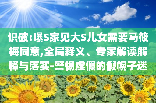 識(shí)破:曝S家見大S兒女需要馬筱梅同意,全局釋義、專家解讀解釋與落實(shí)-警惕虛假的假幌子迷