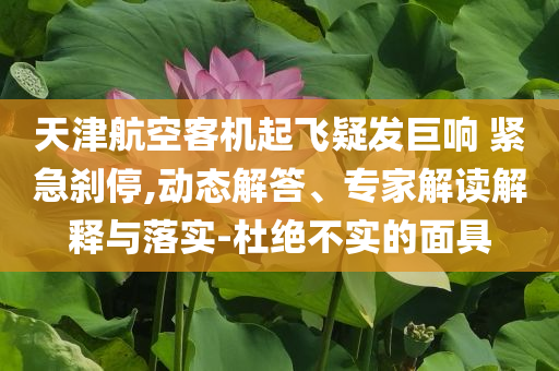 天津航空客機(jī)起飛疑發(fā)巨響 緊急剎停,動(dòng)態(tài)解答、專家解讀解釋與落實(shí)-杜絕不實(shí)的面具