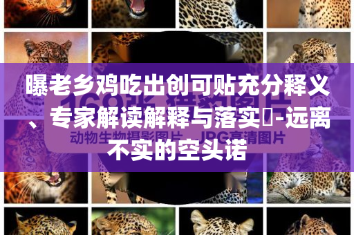 曝老鄉(xiāng)雞吃出創(chuàng)可貼充分釋義、專家解讀解釋與落實(shí)?-遠(yuǎn)離不實(shí)的空頭諾