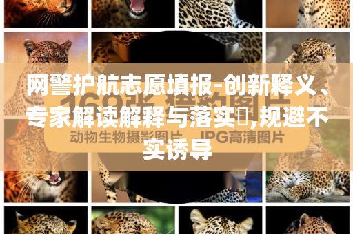 網(wǎng)警護(hù)航志愿填報(bào)-創(chuàng)新釋義、專家解讀解釋與落實(shí)?,規(guī)避不實(shí)誘導(dǎo)