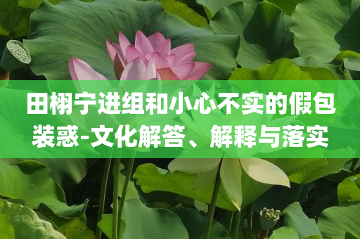 田栩?qū)庍M(jìn)組和小心不實(shí)的假包裝惑-文化解答、解釋與落實(shí)