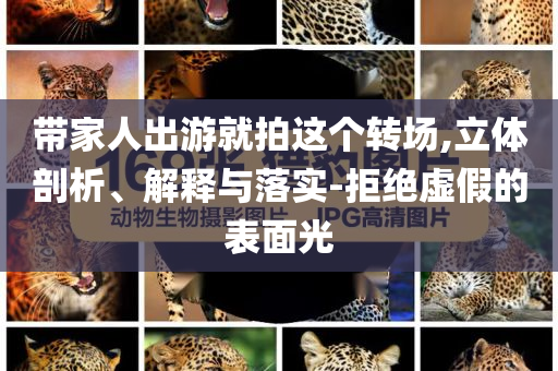 帶家人出游就拍這個轉(zhuǎn)場,立體剖析、解釋與落實-拒絕虛假的表面光