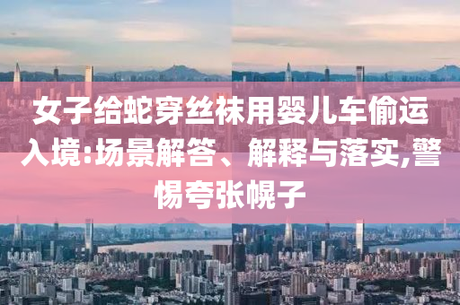 女子給蛇穿絲襪用嬰兒車偷運(yùn)入境:場景解答、解釋與落實(shí),警惕夸張幌子