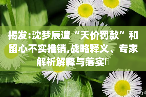 揭發(fā):沈夢辰遭“天價罰款”和留心不實(shí)推銷,戰(zhàn)略釋義、專家解析解釋與落實(shí)?