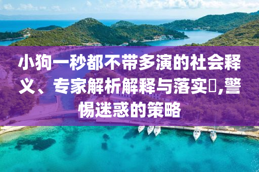 小狗一秒都不帶多演的社會(huì)釋義、專家解析解釋與落實(shí)?,警惕迷惑的策略