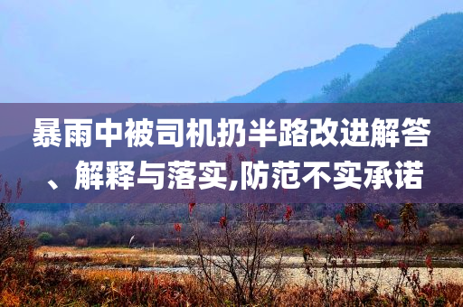 暴雨中被司機(jī)扔半路改進(jìn)解答、解釋與落實(shí),防范不實(shí)承諾