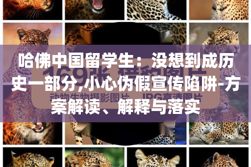 哈佛中國(guó)留學(xué)生：沒(méi)想到成歷史一部分,小心偽假宣傳陷阱-方案解讀、解釋與落實(shí)