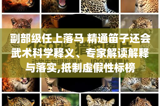 副部級(jí)任上落馬 精通笛子還會(huì)武術(shù)科學(xué)釋義、專(zhuān)家解讀解釋與落實(shí),抵制虛假性標(biāo)榜