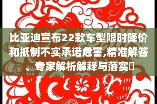比亞迪宣布22款車型限時降價和抵制不實承諾危害,精準解答、專家解析解釋與落實?
