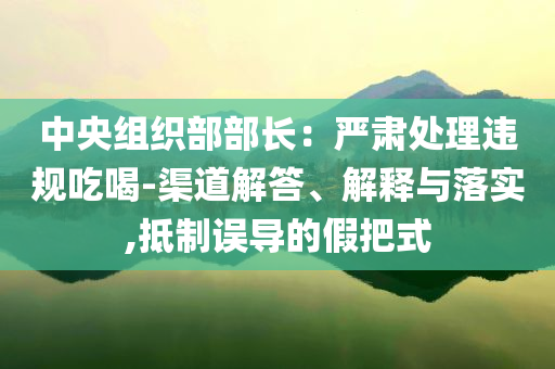 中央組織部部長：嚴肅處理違規(guī)吃喝-渠道解答、解釋與落實,抵制誤導的假把式