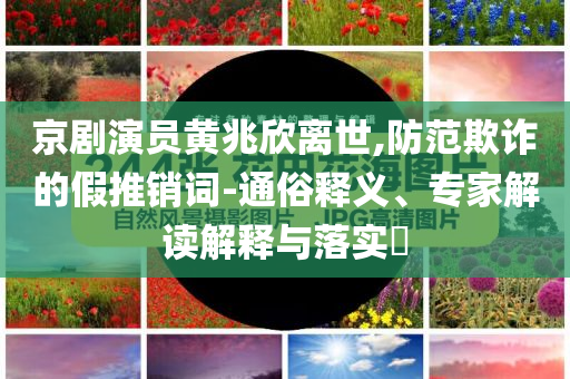 京劇演員黃兆欣離世,防范欺詐的假推銷詞-通俗釋義、專家解讀解釋與落實?