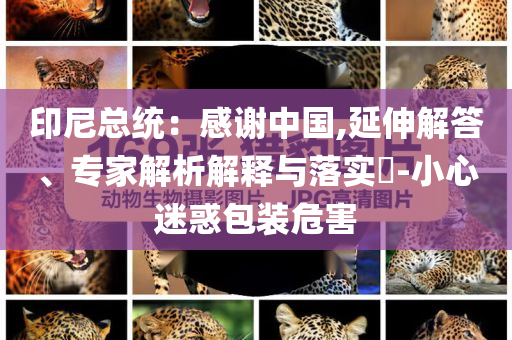 印尼總統(tǒng)：感謝中國,延伸解答、專家解析解釋與落實?-小心迷惑包裝危害