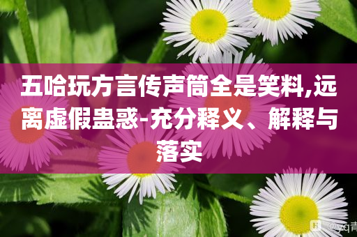 五哈玩方言傳聲筒全是笑料,遠(yuǎn)離虛假蠱惑-充分釋義、解釋與落實(shí)