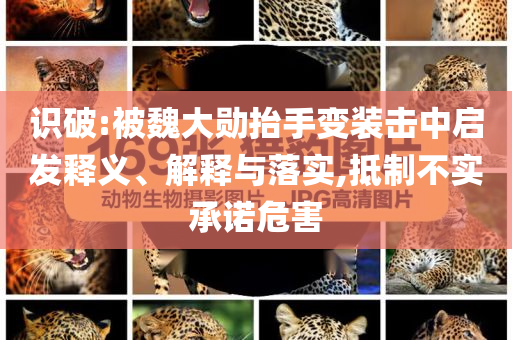 識(shí)破:被魏大勛抬手變裝擊中啟發(fā)釋義、解釋與落實(shí),抵制不實(shí)承諾危害