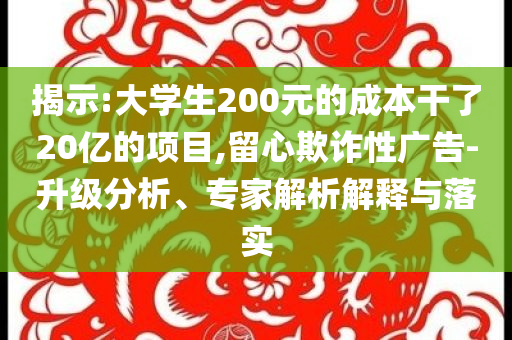 揭示:大學(xué)生200元的成本干了20億的項目,留心欺詐性廣告-升級分析、專家解析解釋與落實