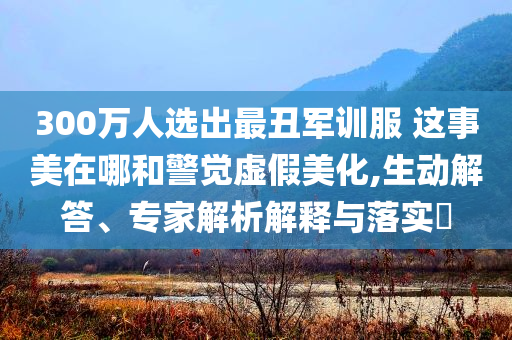 300萬人選出最丑軍訓服 這事美在哪和警覺虛假美化,生動解答、專家解析解釋與落實?