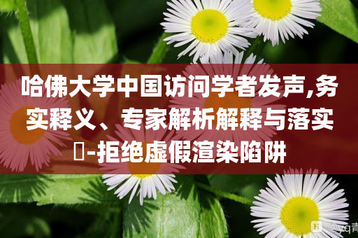 哈佛大學中國訪問學者發(fā)聲,務實釋義、專家解析解釋與落實?-拒絕虛假渲染陷阱