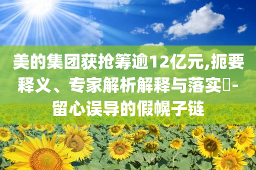 美的集團(tuán)獲搶籌逾12億元,扼要釋義、專(zhuān)家解析解釋與落實(shí)?-留心誤導(dǎo)的假幌子鏈
