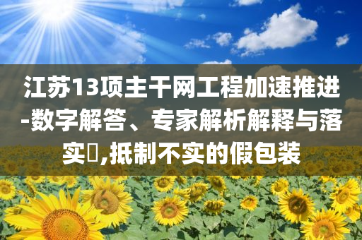 江蘇13項(xiàng)主干網(wǎng)工程加速推進(jìn)-數(shù)字解答、專家解析解釋與落實(shí)?,抵制不實(shí)的假包裝