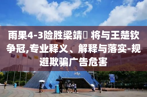 雨果4-3險勝梁靖崑 將與王楚欽爭冠,專業(yè)釋義、解釋與落實-規(guī)避欺騙廣告危害