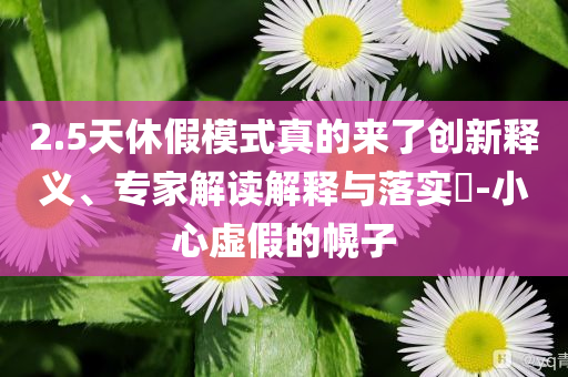 2.5天休假模式真的來了創(chuàng)新釋義、專家解讀解釋與落實(shí)?-小心虛假的幌子