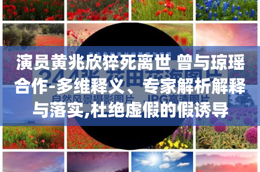 演員黃兆欣猝死離世 曾與瓊瑤合作-多維釋義、專家解析解釋與落實,杜絕虛假的假誘導(dǎo)