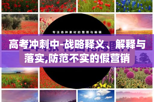 高考沖刺中-戰(zhàn)略釋義、解釋與落實,防范不實的假營銷