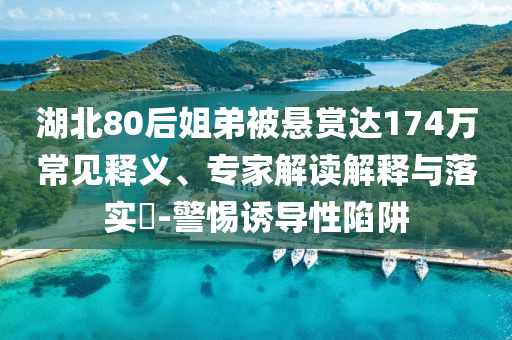 湖北80后姐弟被懸賞達(dá)174萬常見釋義、專家解讀解釋與落實(shí)?-警惕誘導(dǎo)性陷阱