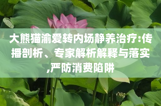 大熊貓渝愛(ài)轉(zhuǎn)內(nèi)場(chǎng)靜養(yǎng)治療:傳播剖析、專家解析解釋與落實(shí),嚴(yán)防消費(fèi)陷阱