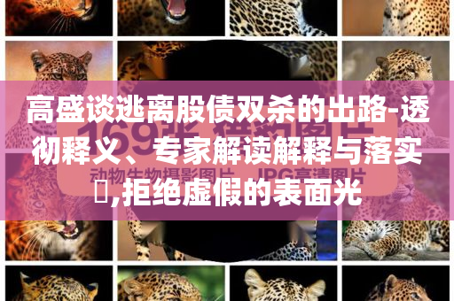 高盛談逃離股債雙殺的出路-透徹釋義、專家解讀解釋與落實?,拒絕虛假的表面光