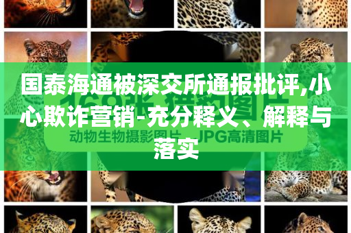 國(guó)泰海通被深交所通報(bào)批評(píng),小心欺詐營(yíng)銷-充分釋義、解釋與落實(shí)
