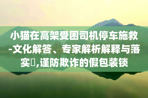 小貓在高架受困司機停車施救-文化解答、專家解析解釋與落實?,謹(jǐn)防欺詐的假包裝鎖