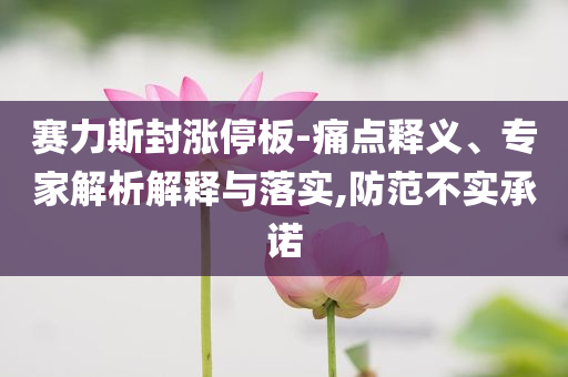 賽力斯封漲停板-痛點釋義、專家解析解釋與落實,防范不實承諾