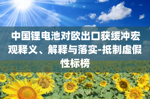中國鋰電池對歐出口獲緩沖宏觀釋義、解釋與落實-抵制虛假性標榜