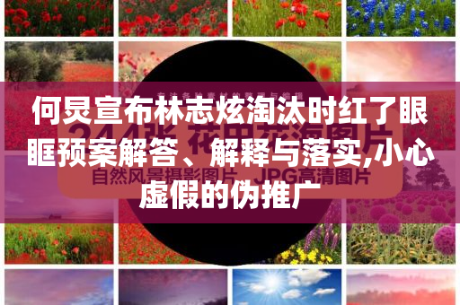何炅宣布林志炫淘汰時(shí)紅了眼眶預(yù)案解答、解釋與落實(shí),小心虛假的偽推廣