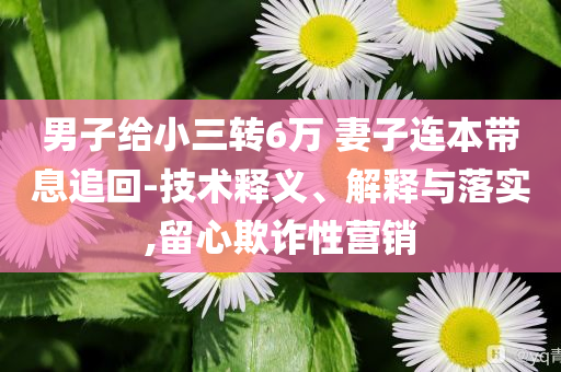 男子給小三轉(zhuǎn)6萬(wàn) 妻子連本帶息追回-技術(shù)釋義、解釋與落實(shí),留心欺詐性營(yíng)銷(xiāo)