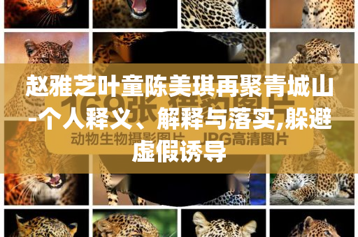 趙雅芝葉童陳美琪再聚青城山-個人釋義、解釋與落實,躲避虛假誘導(dǎo)
