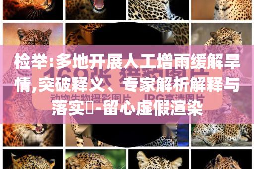 檢舉:多地開展人工增雨緩解旱情,突破釋義、專家解析解釋與落實?-留心虛假渲染