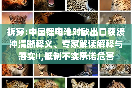 拆穿:中國鋰電池對歐出口獲緩沖清晰釋義、專家解讀解釋與落實?,抵制不實承諾危害